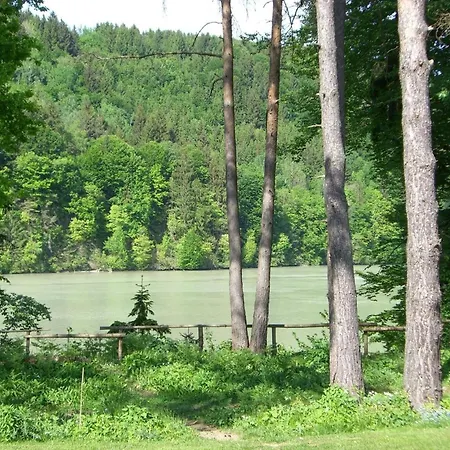 Erle In Feistritz im Rosental